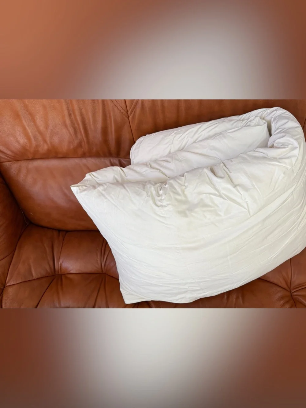 NWB Quince Lightweight Premium Down Duvet Insert